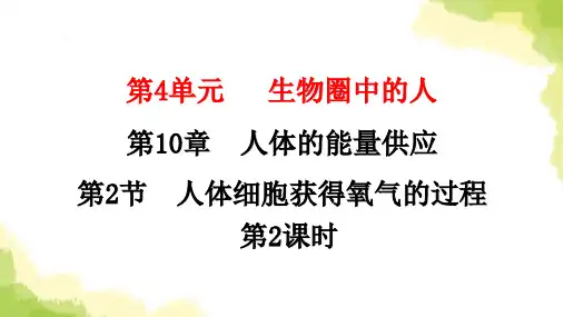 北师大版七年级生物下册第10章人体的能量供应第2节人体细胞获得氧气的过程第2课时课件