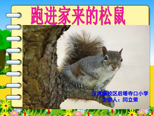 部编六年级上人教《22 跑进家来的松鼠》闫立荣PPT课件 一等奖新名师优质课获奖比赛公开免费下载