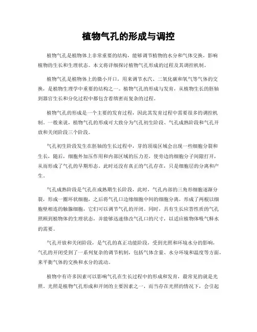 植物气孔的形成与调控