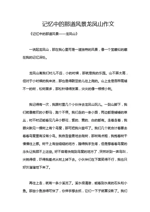 记忆中的那道风景龙凤山作文