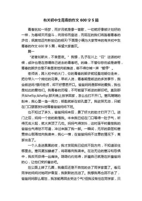 有关初中生青春的作文600字5篇