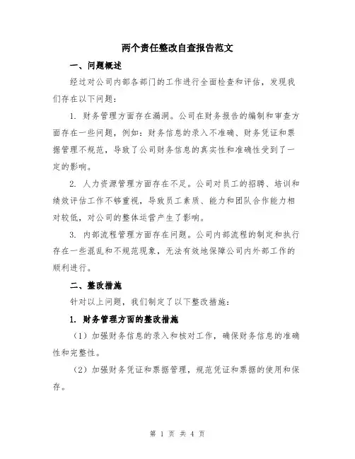 两个责任整改自查报告范文