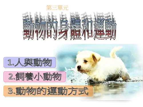 人教小学科学三上动物的身体和运动PPT课件
