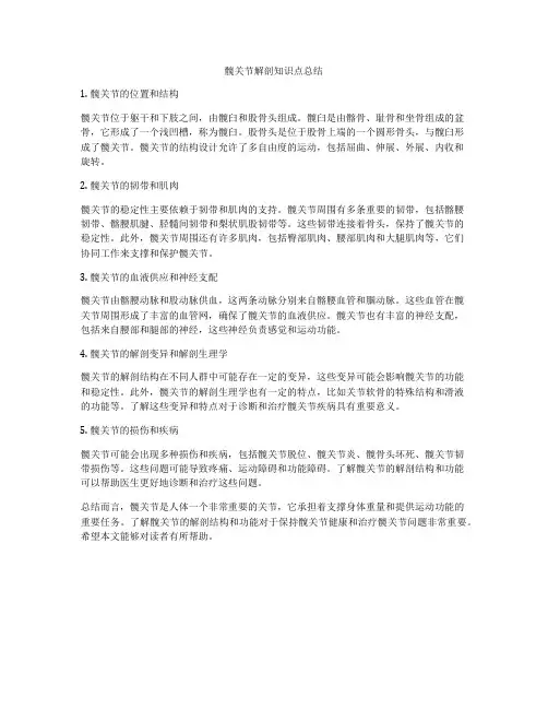 髋关节解剖知识点总结