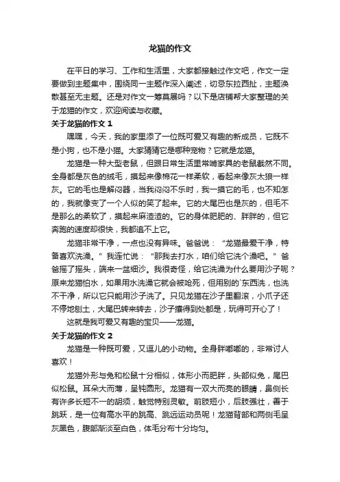 龙猫的作文