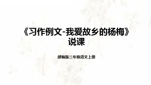 部编版小学三年级语文上册《习作例文-我爱故乡的杨梅》说课课件(含教学反思)(20)