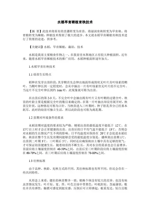 水稻旱育稀植育秧技术