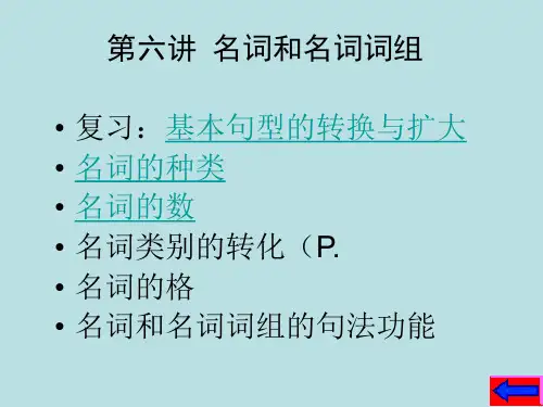 第六讲 名词和名词词组