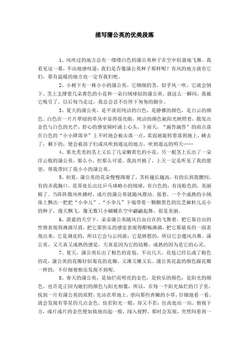 描写蒲公英的优美段落