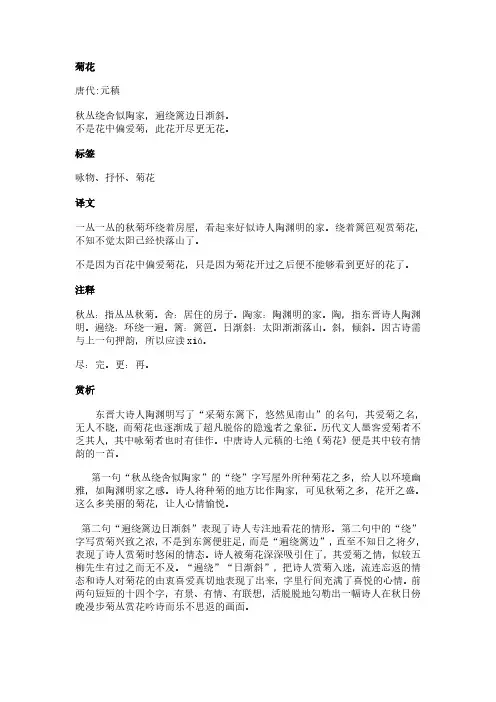 菊花(元稹作品)原文、翻译及赏析