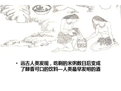 果酒和果醋的制作自己ppt课件