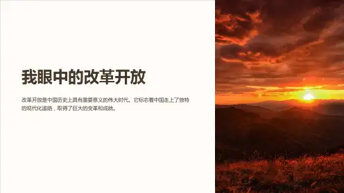我眼中的改革开放模版课件