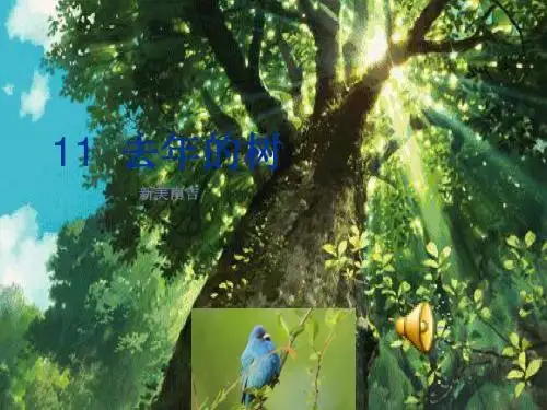 《去年的树》(完美版)PPT课件