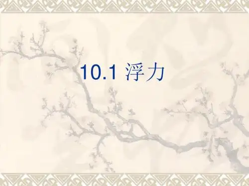 初中物理《浮力》(共25张)ppt51