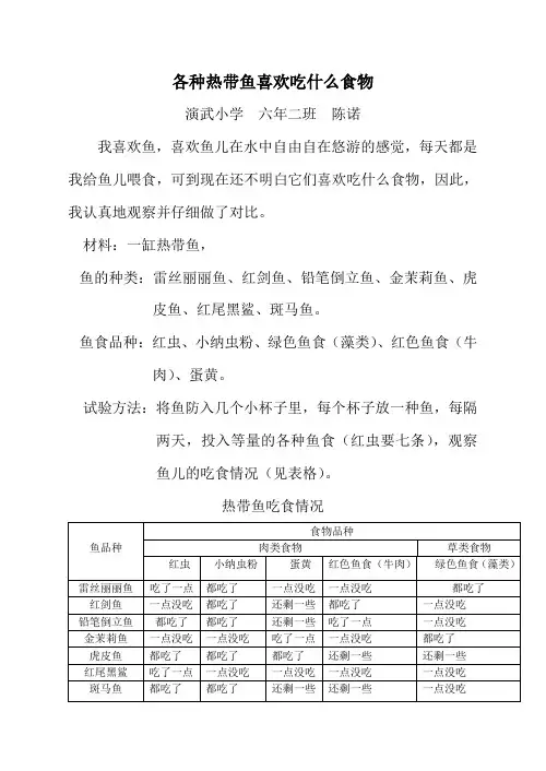 各种热带鱼喜欢吃什么食物