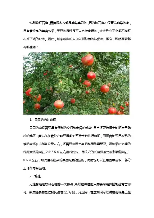 软籽石榴种植要素有哪些