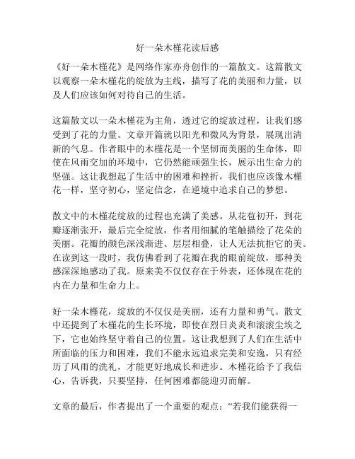好一朵木槿花读后感