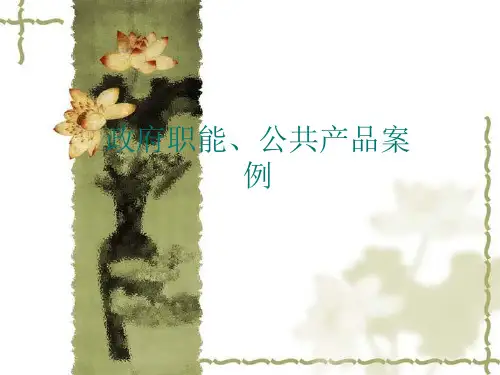 政府职能、公共产品案例