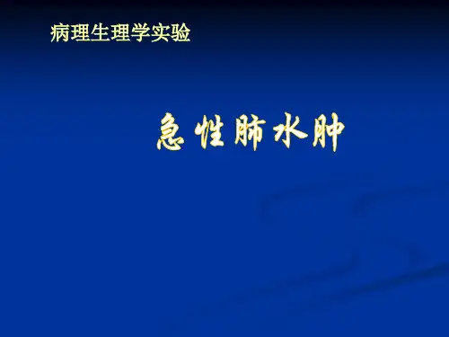 实验性肺水肿