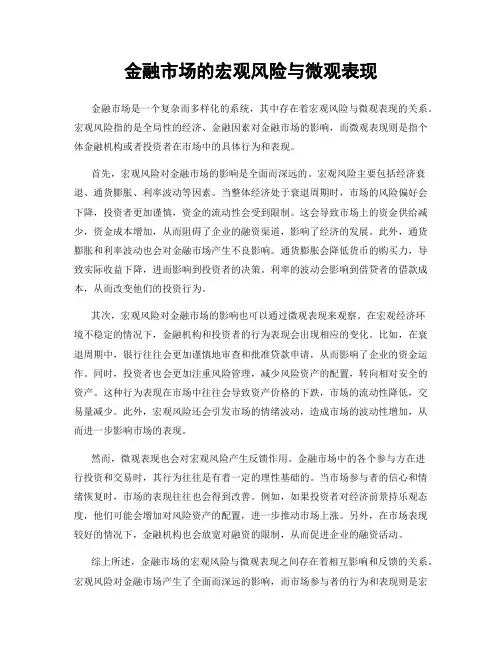 金融市场的宏观风险与微观表现