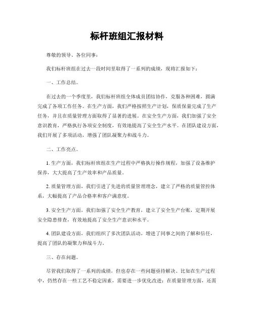 标杆班组汇报材料