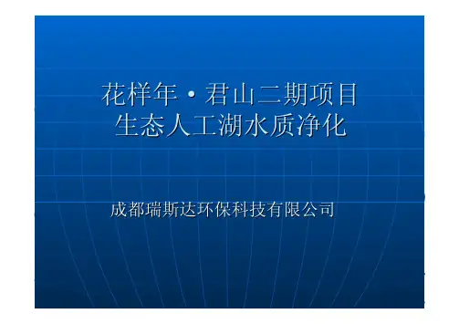 人工湖丰水期及枯水期生态治理方案