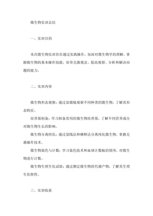 微生物实训总结