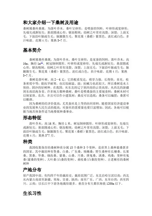 和大家介绍一下桑树及用途