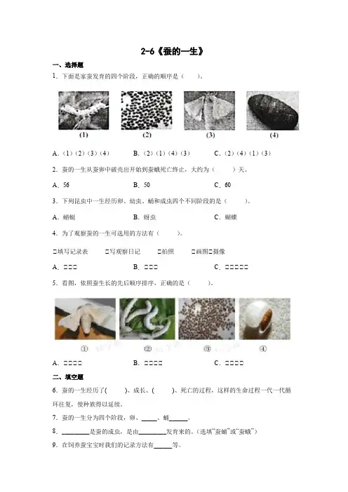 教科版(2017秋)三年级科学下册2-6蚕的一生(同步练习)(含答案 )