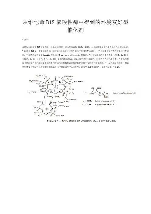从维他命B12依赖性酶中得到的环境友好型催化剂