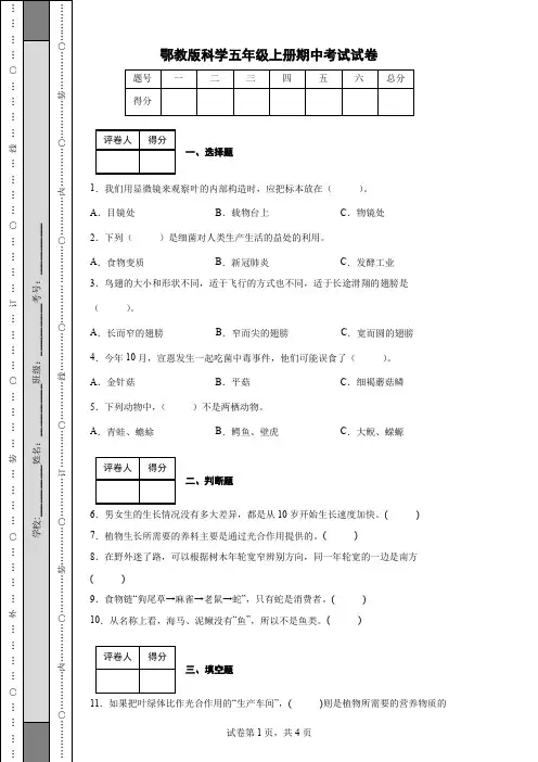 鄂教版科学五年级上册期中考试试卷(后附答案)