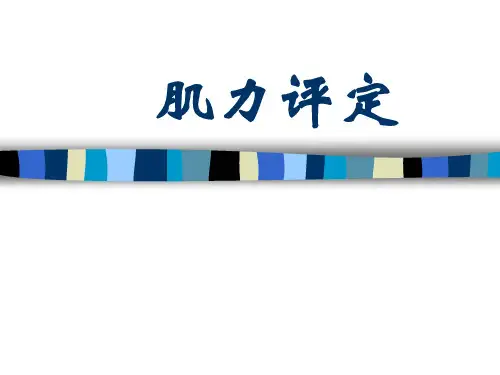 肌力评定