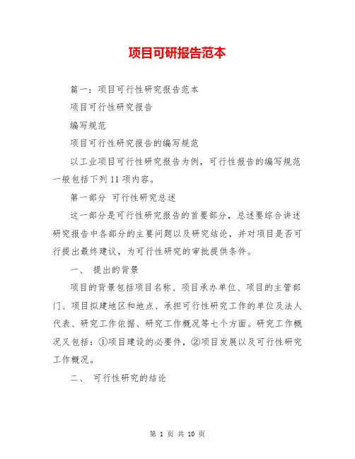 项目可研报告范本