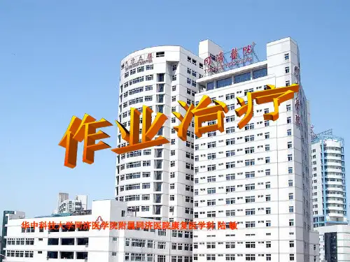 《作业治疗》PPT课件ppt课件