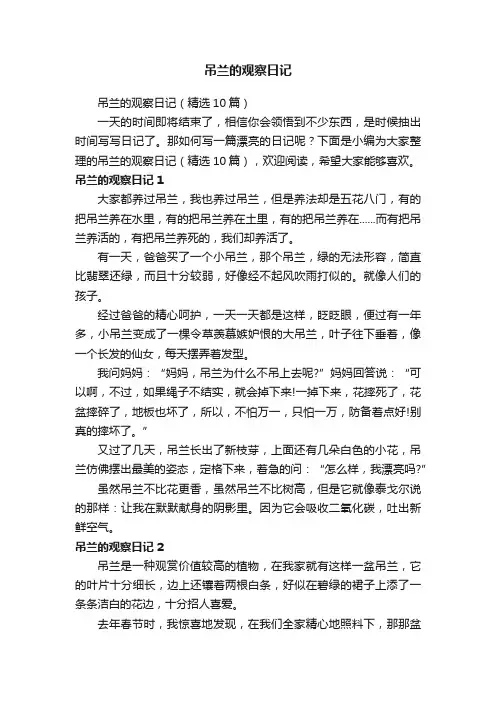 吊兰的观察日记（精选10篇）