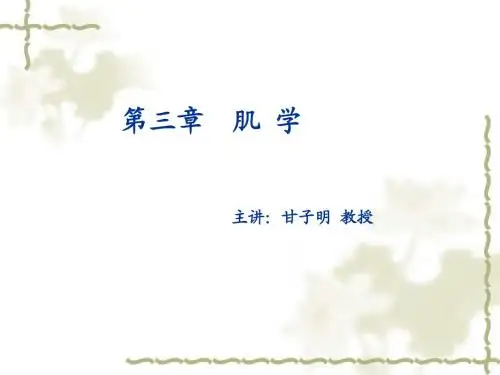 系解头颈躯干肌