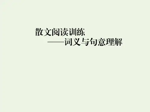 高考语文复习《散文阅读——词义与句意理解》PPT课件