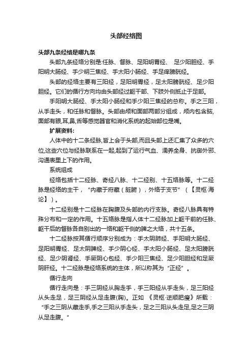 头部经络图