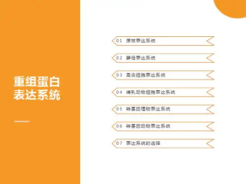 重组蛋白的表达系统(详细版)
