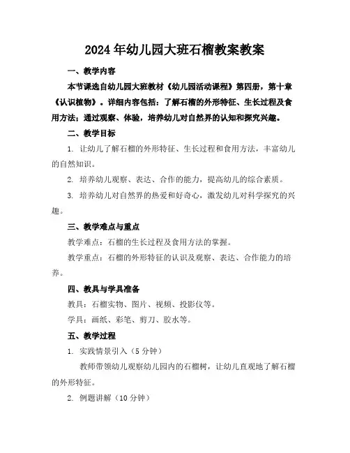2024年幼儿园大班石榴教案教案
