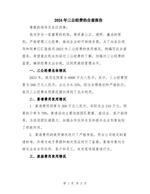 2024年三公经费的自查报告