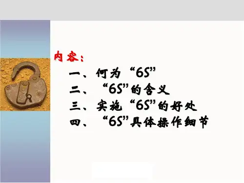 精选办公室6S管理执行标准PPT34页