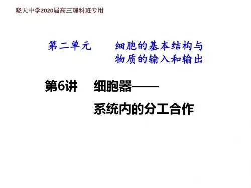高三生物一轮复习第6讲细胞器——系统内的分工与合作