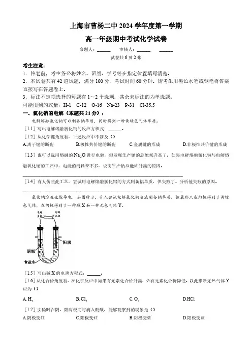 上海市曹杨第二中学2024-2025学年高一上学期期中考试化学试题(含答案)