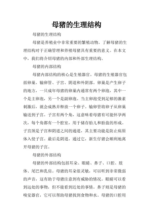 母猪的生理结构