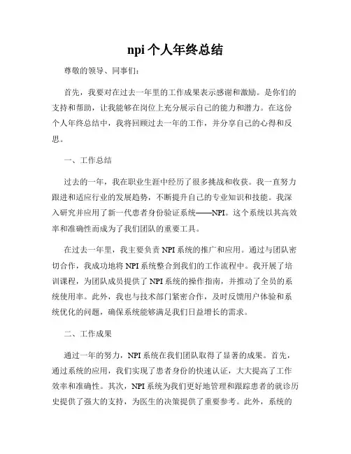 npi个人年终总结