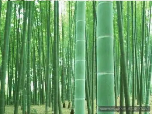 北师大版五年级语文下册《 劳动  古诗二首》公开课课件_6