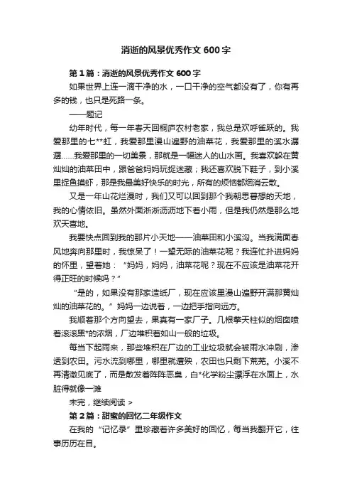 消逝的风景优秀作文600字