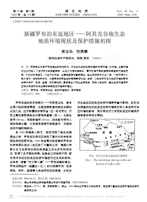 新疆罗布泊东延地区
