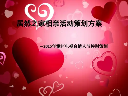 相亲活动策划方案PPT